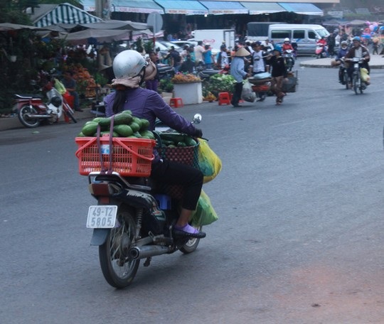 Bơ Lâm Đồng được giá, nông dân mừng ra mặt - 3 Các tiểu thương mang bơ ra chợ Đà Lạt bán lẻ