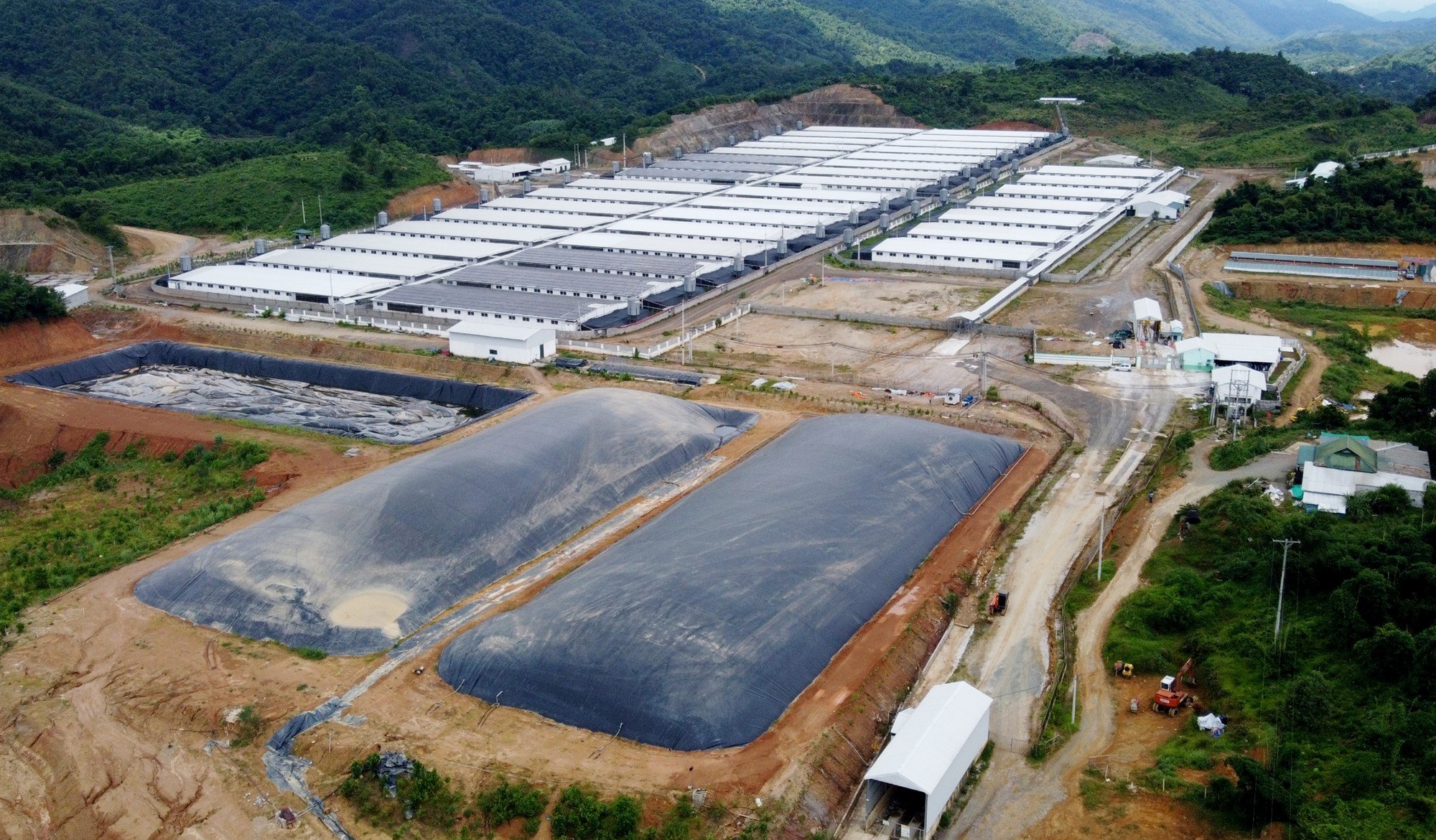 Ảnh A1.jpg Ảnh A1.jpg