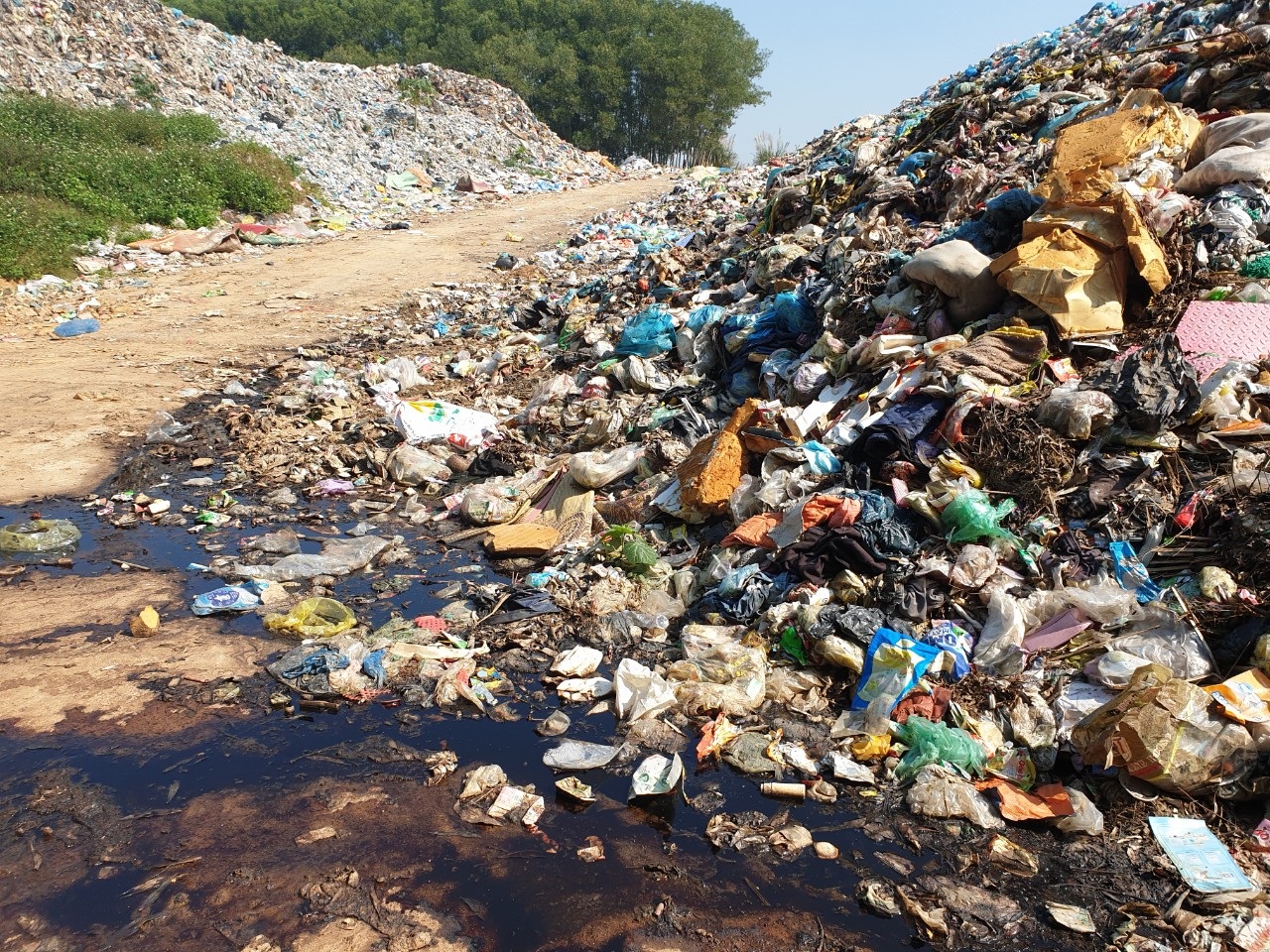 rác 1.jpg rác 1.jpg