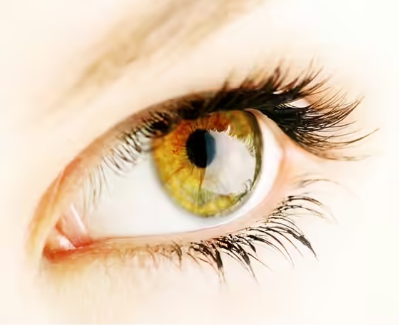 View - Dân Sinh - Màu tóc thời trang phù hợp mọi tông da, đừng bỏ qua 11 gợi ý với màu mận | Báo Dân trí