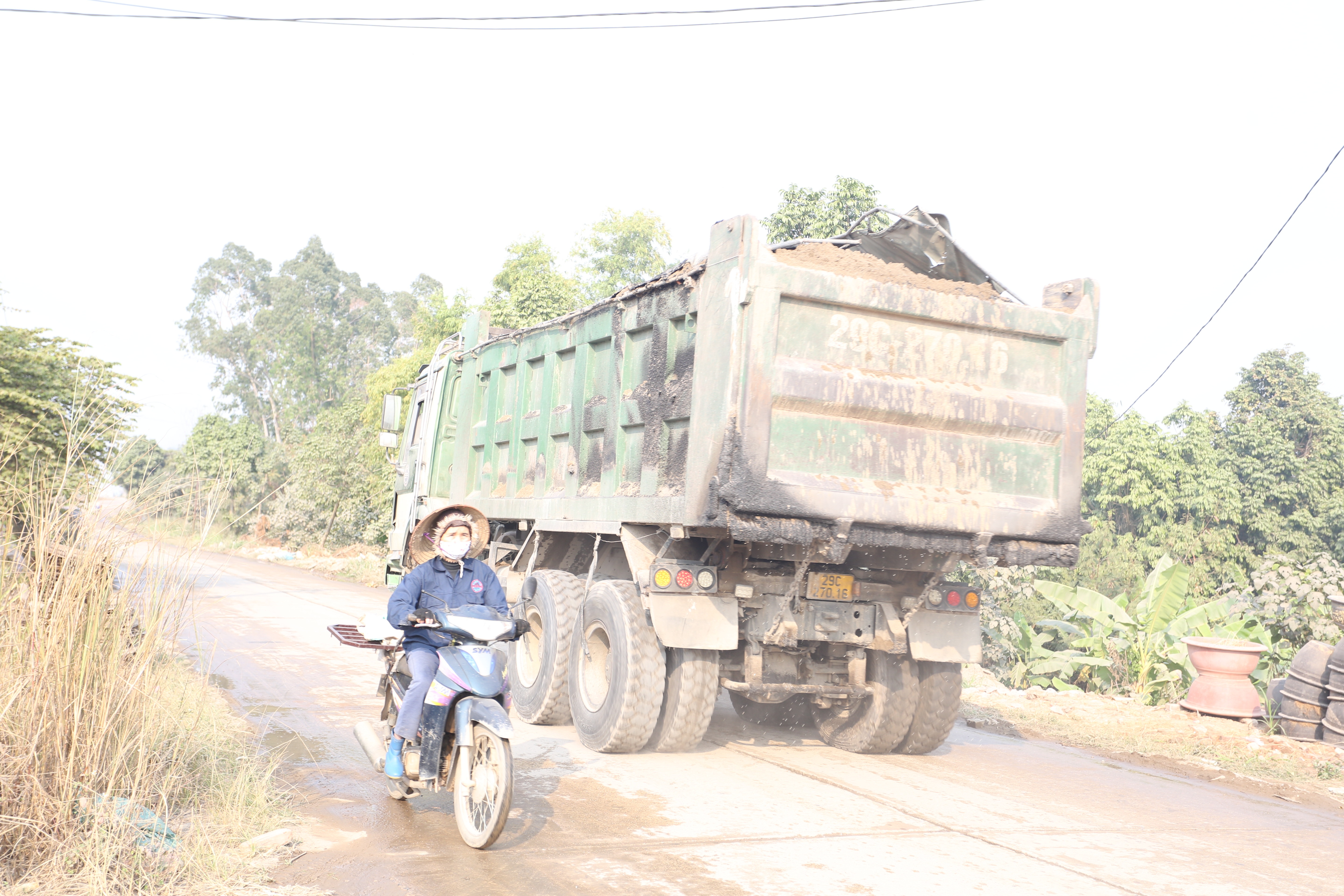 View - Dân Sinh - Nỗi buồn của những người nông dân trồng đào, quất | Báo Dân trí