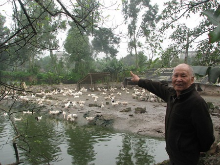 Thanh tra Chính phủ đánh giá vụ thu hồi đất tại Hà Nam phức tạp