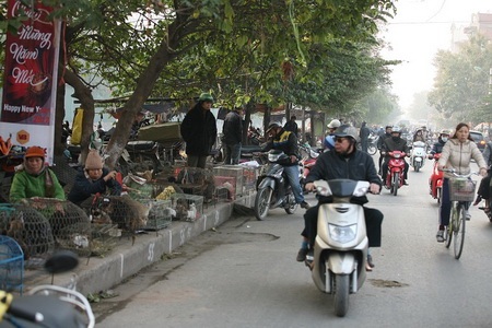 Đường Kim Ngưu thành “điểm đen giao thông” vì loạn họp chợ - 6 Đường Kim Ngưu thành “điểm đen giao thông” vì loạn họp chợ - 6
