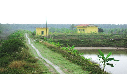 "Xã hội đen" được giao quản lý đầm ông Vươn?  - 1