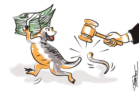 Che sao được nhân dân, giấu sao được lịch sử! - 1 (Ảnh minh họa: Vũ Toản)