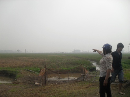 Văn phòng Trung ương Đảng đề nghị làm rõ vụ đền bù 2 triệu đồng/5.000m2 đất - 3 Văn phòng Trung ương Đảng đề nghị làm rõ vụ đền bù 2 triệu đồng/5.000m2 đất