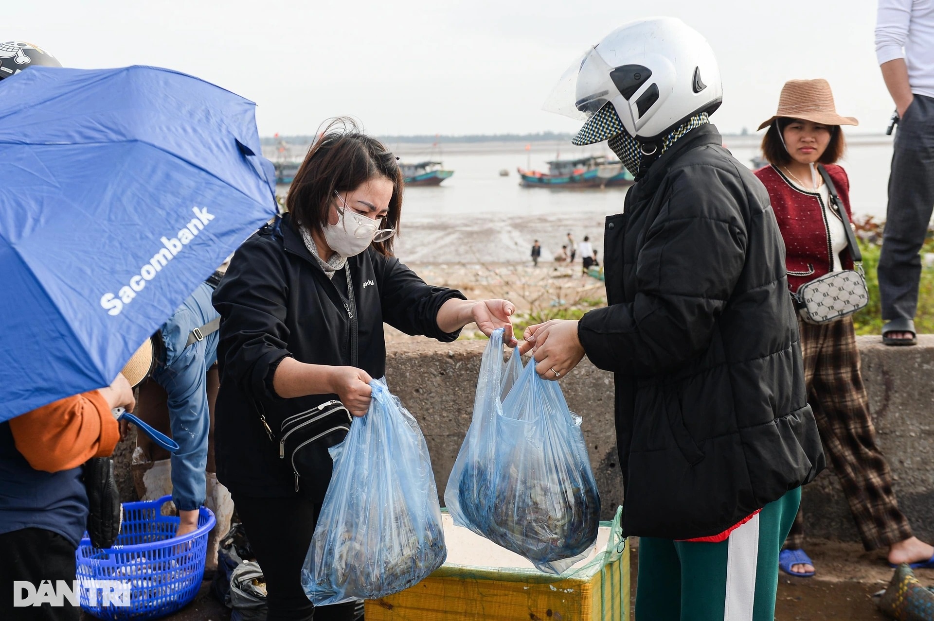 View - Nam Dinh fishermen enjoy big catches on first lunar year trips