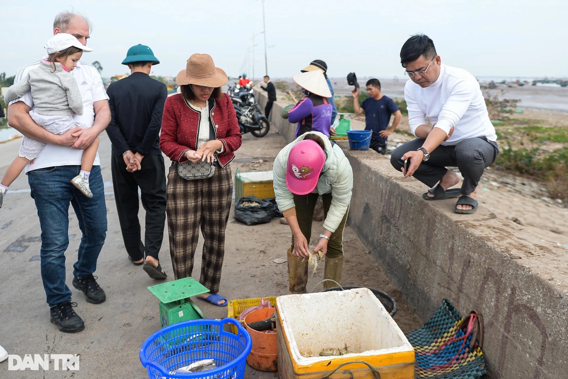 View - Nam Dinh fishermen enjoy big catches on first lunar year trips