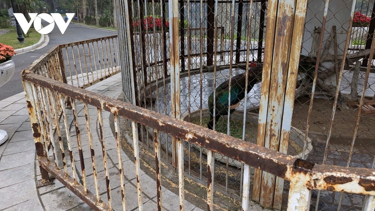 View - Hanoi Botanical Garden deteriorates due to delayed renovation