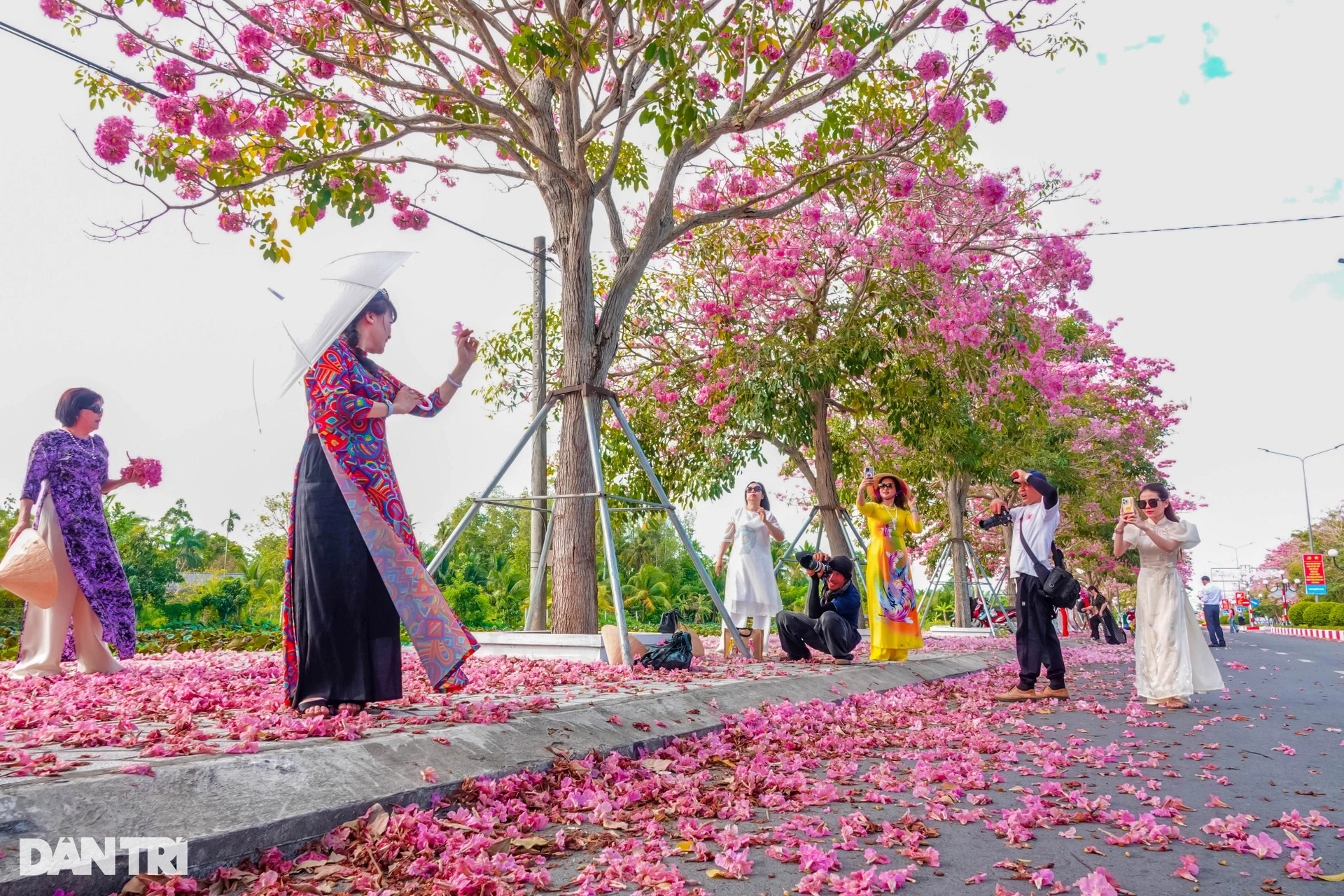 View - Pink trumpet flowers bloom on southwestern road
