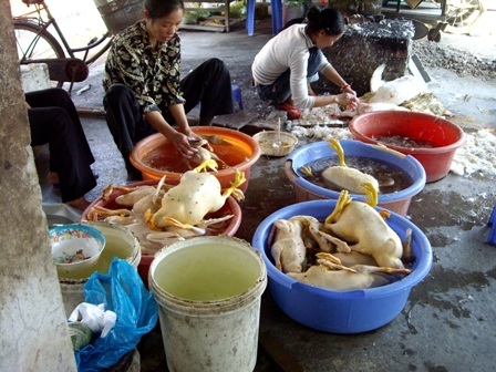 Phát hiện hàng loạt hành vi vi phạm an toàn thực phẩm - 1 (Ảnh minh hoạ).