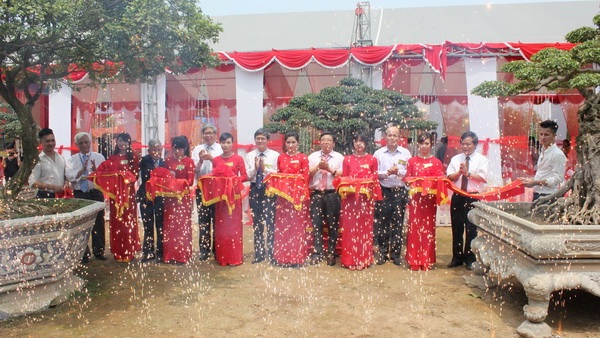 Công nhận Cây Di sản Việt Nam cho 9 cây mang nguồn gene quý - 1 9 cây ở TP Việt Trì, Phú Thọ được công nhận là Cây Di sản Việt Nam (Ảnh: MONRE).