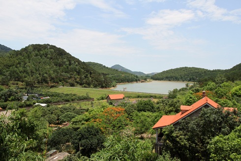 Xử lý triệt để việc chuyển nhượng đất trái phép tại các nông, lâm trường - 1 Xử lý triệt để việc chuyển nhượng đất trái phép tại các nông, lâm trường