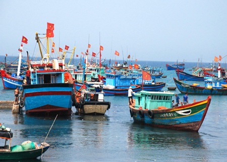 Nâng cao nhận thức về vị trí, tầm quan trọng của biển, hải đảo - 1 Đảo Lý Sơn (Quảng Ngãi).