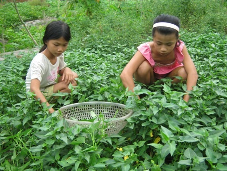 Hai chị em gái chuẩn bị bữa cơm rau cúng 3 ngày cho ba