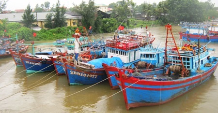 Hầu hết tàu thuyền Quảng Bình đã vào neo đậu tránh bão số 11