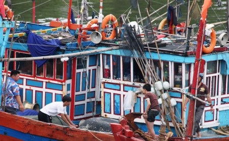 Ngư dân Quảng Trị chằng chéo lại tàu thuyền (Ảnh: Đăng Đức)