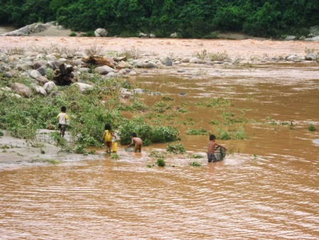 Lũ chưa dứt, trẻ nhỏ đã theo cha mẹ ra sông bắt cá