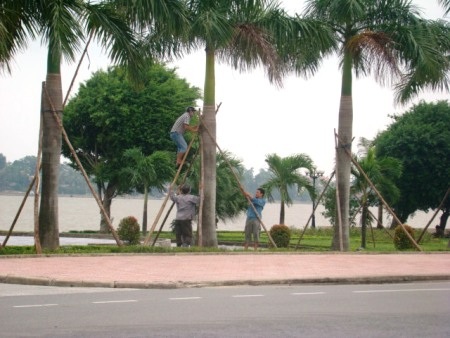 Lực lượng vũ trang chuẩn bị sẵn phương tiện để ứng phó với bão