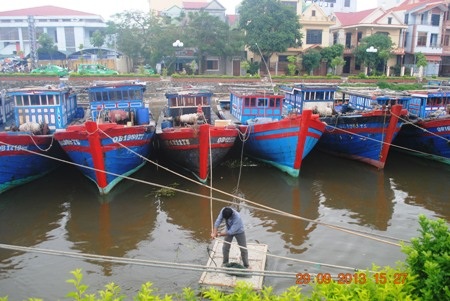 Ngư dân neo đậu lại tàu để hạn chế va đập