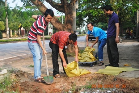 Che đậy lại nhà cửa để tránh gió hất tung