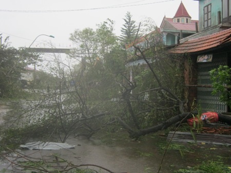 Khung cảnh tan hoang do bão số 10