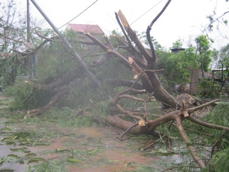 Khung cảnh tan hoang do bão số 10