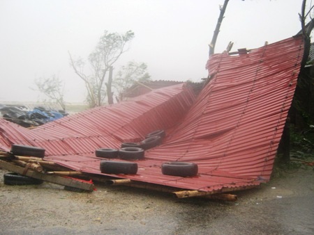 Một mái tôn bị gãy, đổ