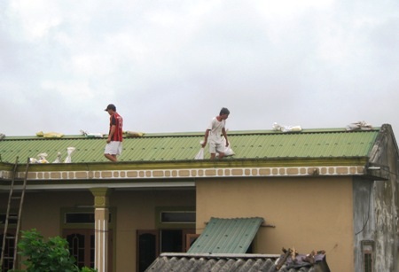 Căng mình đối phó với cơn bão mạnh nhất thập kỷ