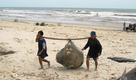 Thu dọn ngư, lưới cụ...