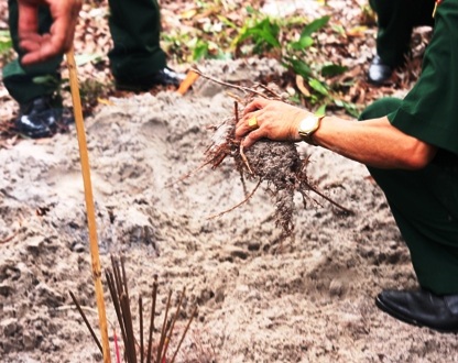 Rễ cây tại khu vực khai quật mộ ở Quảng Trị đã bị chặt từ trước