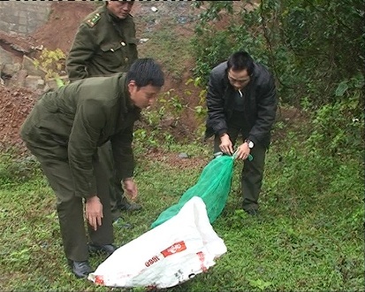 Lực lượng chức năng tiến hành thả động vật hoang dã về môi trường tự nhiên