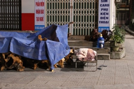 Trông giữ các tác phẩm gỗ lũa tại Hội hoa Xuân 