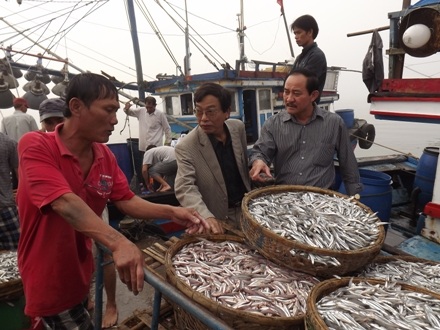 Ngư dân bội thu cá cơm trong chuyến ra khơi đầu năm