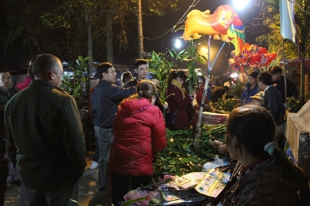 Mua mía, chè, cây phát tài...được cho là vận may dip đầu Xuân