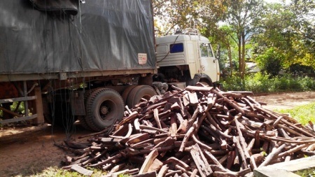 Liên tục phát hiện và bắt giữ xe ô tô vận chuyển gỗ trắc qua biên giới