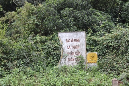 Thảm thực vật phong phú ở rừng Rú Lịnh