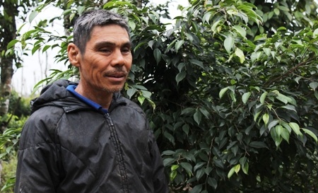 Thảm thực vật phong phú ở rừng Rú Lịnh