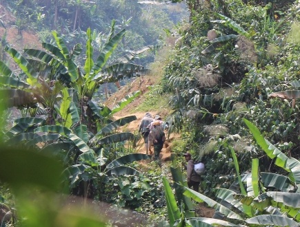 Tốp người này quay lại nhìn khách lạ, tỏ vẻ hồ nghi