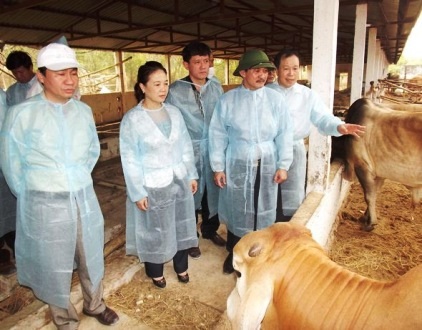 Ông Nguyễn Quân Chính chỉ đạo các địa phương triển khai công tác phòng, chống dịch bệnh