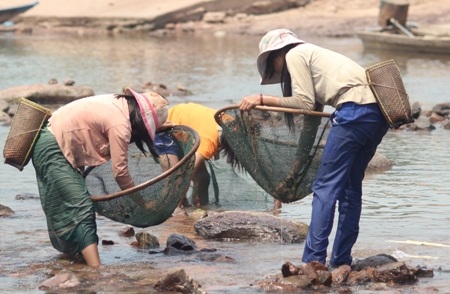 Sau một hồi ngâm trong nước, các em cũng chỉ kiếm được vài con tôm