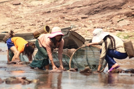 Giây phút hăng say tìm cá