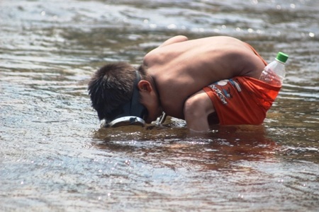 ...và lặn xuống tìm cá 