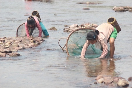 Bắt tôm, cá trong các kẽ đá