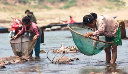 Sau một hồi ngâm trong nước, các em cũng chỉ kiếm được vài con tôm