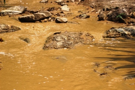 Dòng nước đục ngầu được thải ra từ bãi khai thác vàng