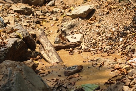 Lòng suối bị xới tung nham nhở, gây ảnh hưởng môi trường nghiêm trọng