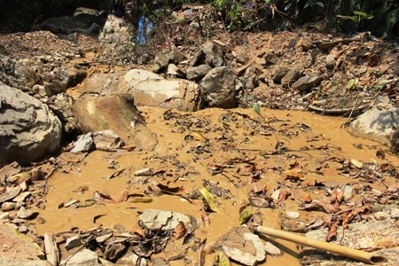 Liệu có sự tiếp tay cho vàng tặc ngang nhiên hoạt động?