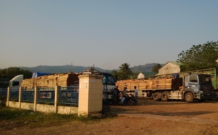 Xe chở gỗ tập kết để tự hạ tải