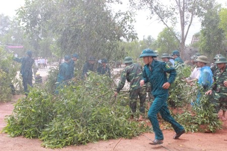 Phát dọn cây cối bị gãy, đổ do bão